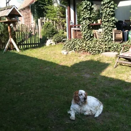 Daire 2 Bedroom Beautyful Vacation / Brunsberg *